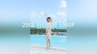 2008 特别回顾 1080P