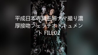 平成日本専業主婦ナマ撮り濃厚接吻フェラチオドキュメント FILE02