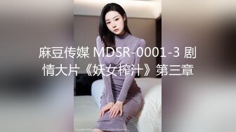 麻豆传媒 MDSR-0001-3 剧情大片《妖女榨汁》第三章