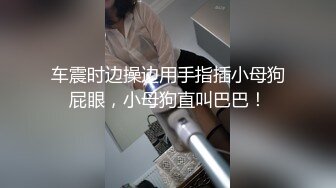 车震时边操边用手指插小母狗屁眼，小母狗直叫巴巴！