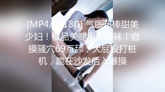 [MP4/ 1.18G] 气质超棒甜美少妇！极品美腿吊带网袜！自摸骚穴69互舔，大屁股打桩机，跪在沙发后入爆操