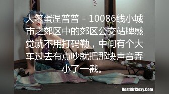 大笨蛋涅普普 - 10086线小城市之郊区中的郊区公交站牌感觉就不用打码勒，中间有个大车过去有点吵就把那块声音弄小了一截。