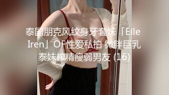 泰国朋克风纹身牙套妹「Elle Iren」OF性爱私拍 微胖巨乳泰妹榨精瘦弱男友 (16)