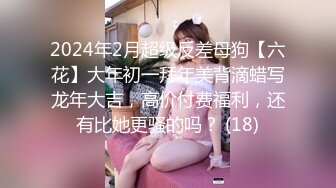 2024年2月超级反差母狗【六花】大年初一拜年美背滴蜡写龙年大吉，高价付费福利，还有比她更骚的吗？ (18)