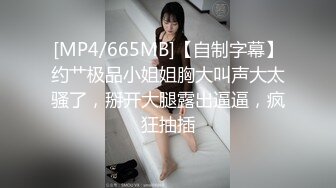 [MP4/665MB]【自制字幕】约艹极品小姐姐胸大叫声大太骚了，掰开大腿露出逼逼，疯狂抽插