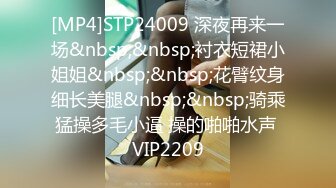 [MP4]STP24009 深夜再来一场&nbsp;&nbsp;衬衣短裙小姐姐&nbsp;&nbsp;花臂纹身细长美腿&nbsp;&nbsp;骑乘猛操多毛小逼 操的啪啪水声 VIP2209