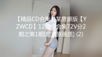 【精品CD合集】某房原版【YZWCD】12月份合集72V分2期之第1期[超清原画质] (2)