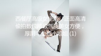 西餐厅高级女坐厕，正面高清偸拍数位精致气质美女方便，厚阴毛上翘小姐姐 (1)