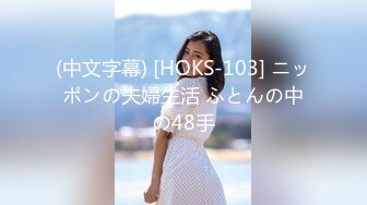 (中文字幕) [HOKS-103] ニッポンの夫婦生活 ふとんの中の48手